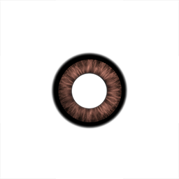 automated-tests/resources/exercise/Textures/Eye_AlbedoMetallic.png