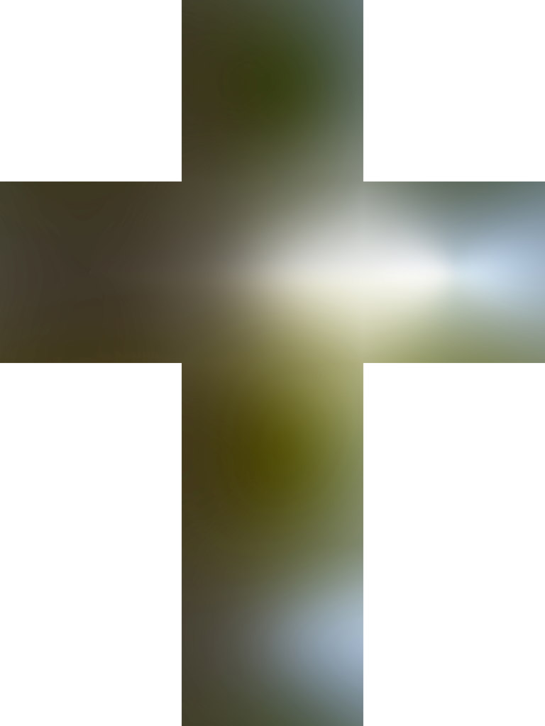 automated-tests/resources/forest_diffuse_cubemap_cross_vertical.png