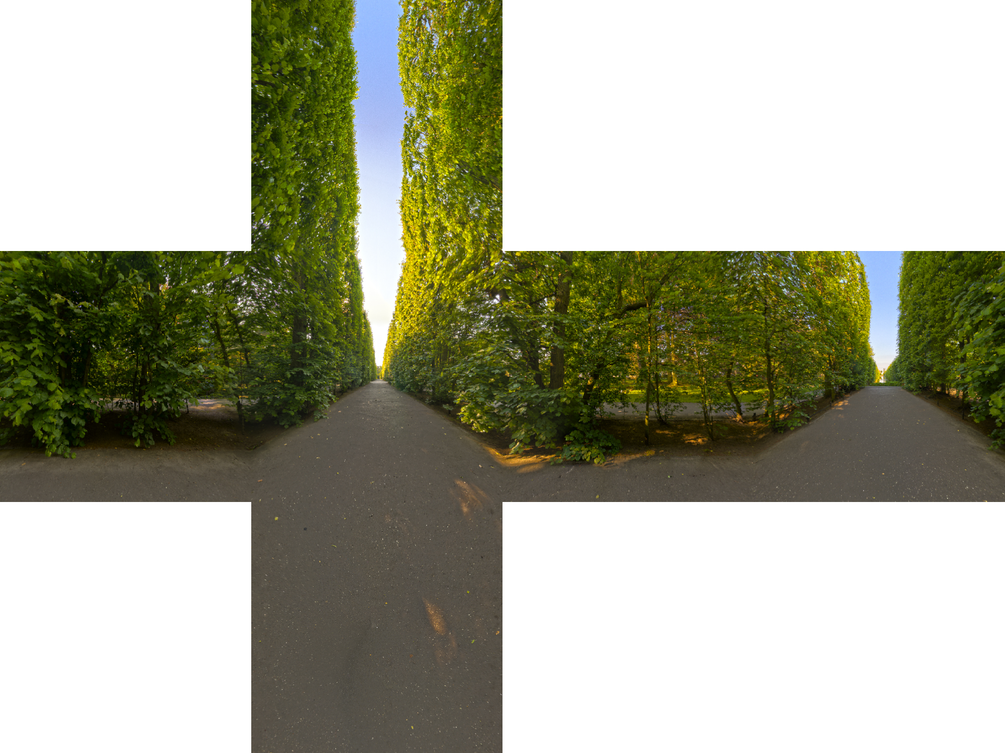 automated-tests/resources/forest_specular_cubemap.png
